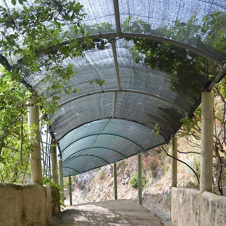 Villaggio Calispera Capo Vaticano Kültér fotó